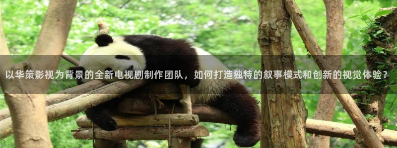 蜜桃視頻,：以華策影視為背景的全新電視劇制作團隊，如何打造獨特的敘事模式和創新的視覺體驗？